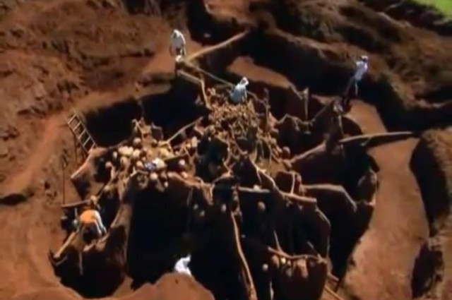 Au turnat ciment intr-un musuroi de furnici. Surpriza uriasa pe care au trait-o cand au inceput sa sape. VIDEO