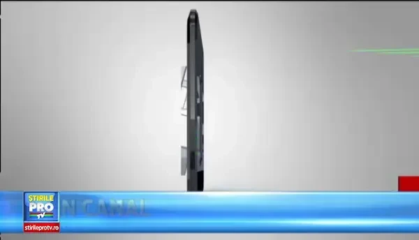 Efectele miraculoase ale catinei asupra organismului. De ce e bine sa le consumam in sezonul rece