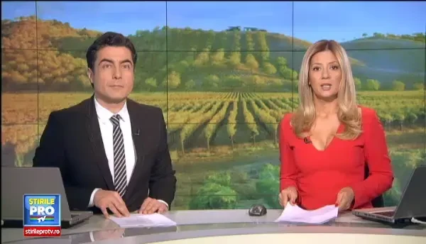 Luna octombrie, perioada in care mustul apare in targurile din marile orase. Pretul cu care se vinde un litru de licoare