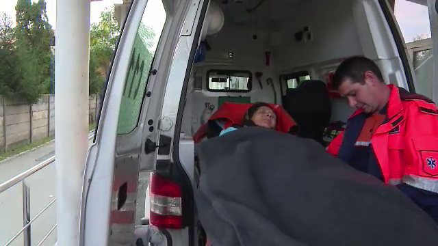 Doi batrani din Gorj au fost bagati in spital de un urs. Cum i-a salvat cainele lor in timpul atacului