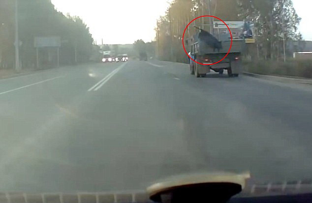 Saltul spre liberate facut de un vitelus dintr-un camion care merge pe o strada aglomerata din Rusia. VIDEO
