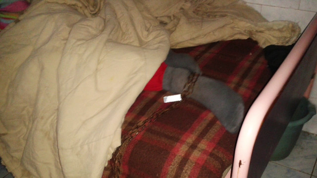 Oameni legati cu LANTURI si hraniti impreuna cu cainii. Ororile dintr-un centru pentru persoane cu dizabilitati din Romania