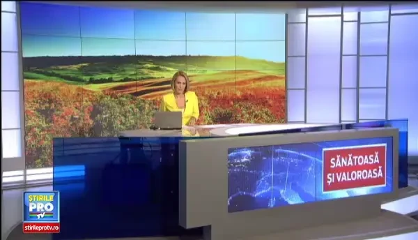 Catina i-a imbogatit in 2014 pe fermierii care au cultivat-o. Cat poti castiga cu o investitie de 7.000 de euro