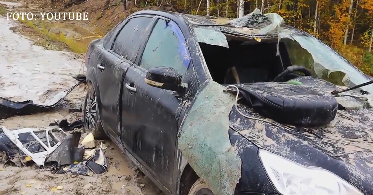 Razbunarea unui urs din Siberia: i-a distrus masina vanatorului care il impuscase in picior. VIDEO