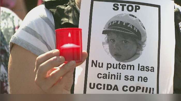 Parintii lui Ionut, baietelul ucis de maidanezi, nu au voie sa vorbeasca despre caz. Procesul se judeca in sedinta secreta