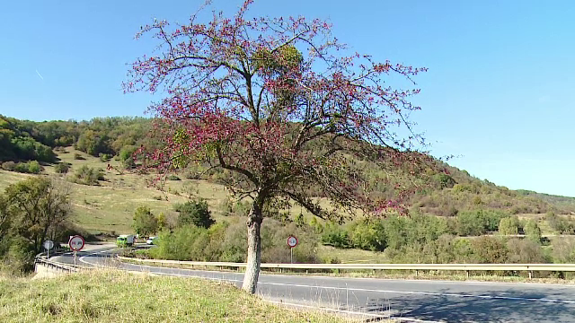 Sambata se anunta vreme frumoasa in toata tara, iar temperaturile vor atinge 27 de grade. Prognoza pentru urmatoarele 3 zile