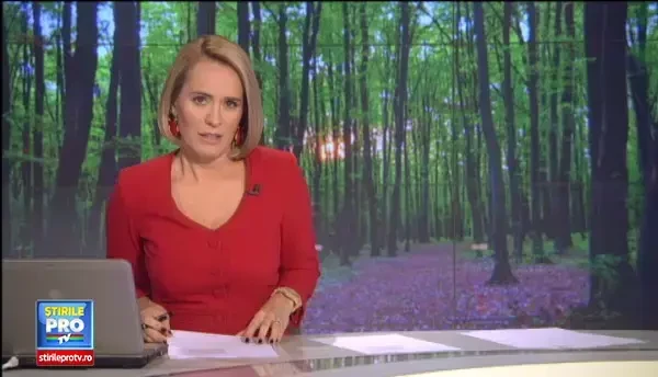 Romania isi vaccineaza vulpile din avion. Autoritatile vor ca sa previna infectiile cu virusul care produce