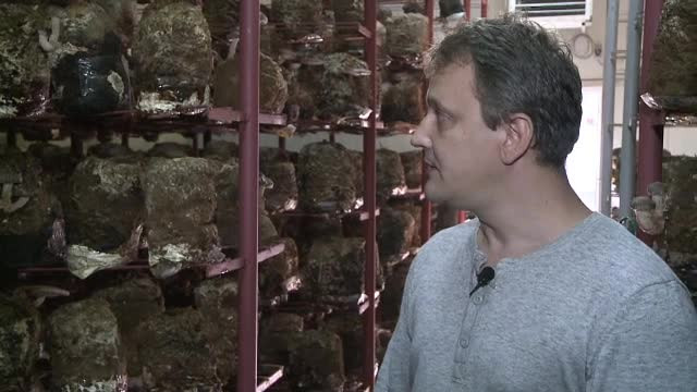 Tiberiu, tanarul care si-a inceput afacerea cu ciuperci asiatice dupa ce s-a documentat pe net. Un kg se vinde si cu 300 lei