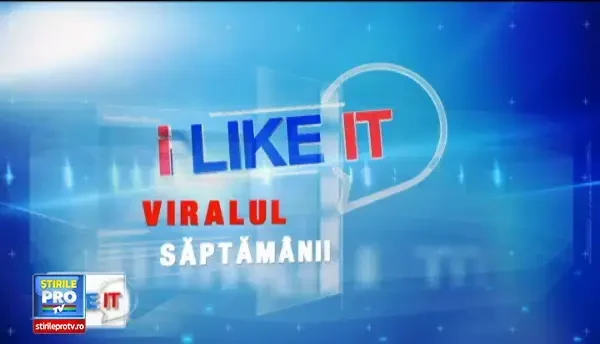 iLikeIT. Viralul saptamanii: bataie in Australia intre ... cangurii de cartier