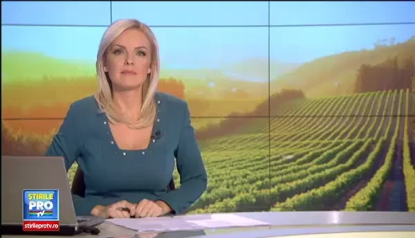 Toamna aduce si vremea mustului. Cat costa o sticla la targurile din Bucuresti si din tara