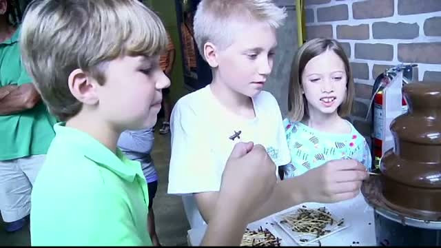 Viermi in ciocolata si caramele cu picioruse de insecte. Delicatesele oferite vizitatorilor curajosi de un muzeu din SUA