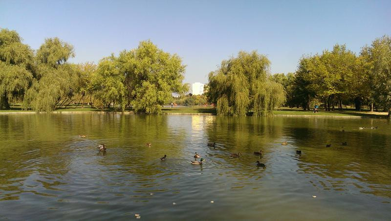 Primaria Sectorului 3, condusa de Robert Negoita, vrea sa betoneze 3.000 mp din Parcul Titan cu o sala de spectacole