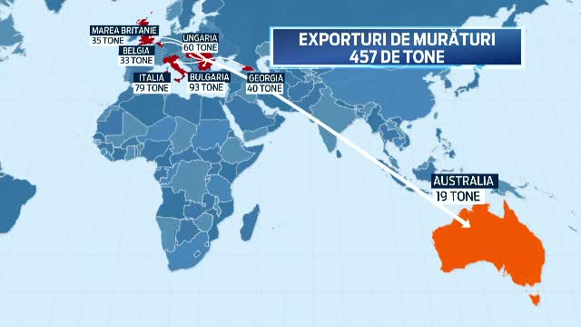 Harta exporturilor de muraturi: 19 tone ajung pana in Australia. Chef Patrizia: Toti prietenii mei pleaca acasa cu un borcan