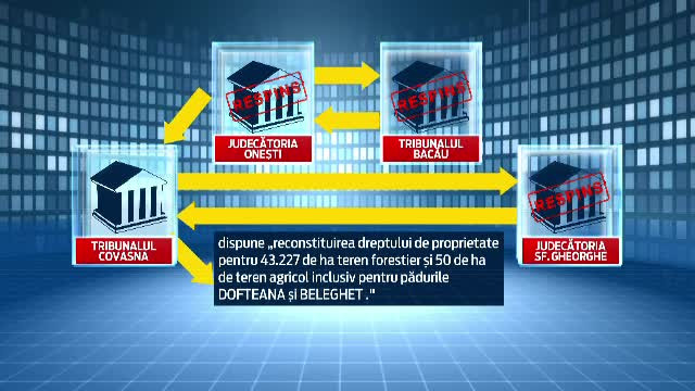 Dosarul MAFIA LEMNULUI. Cele peste 43.000 de hectare de padure retrocedate ilegal, prejudiciu de 300 de milioane de euro