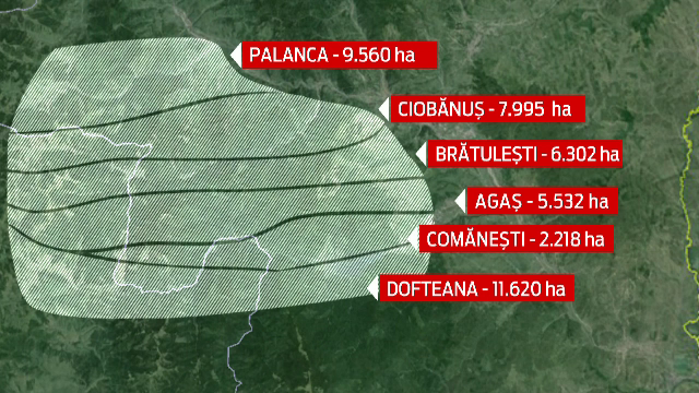 stenograme hrebenciuc