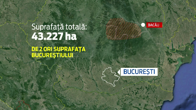 stenograme hrebenciuc