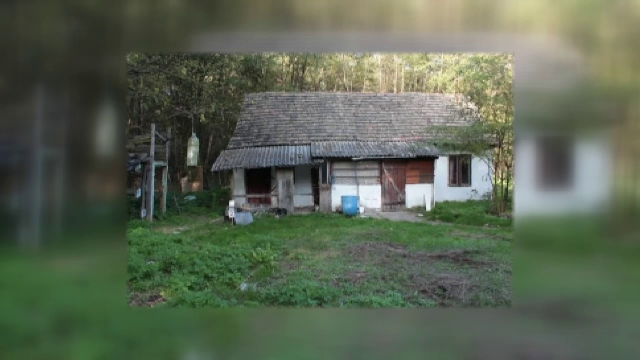 Un roman si doi unguri, arestati pentru rapirea unui austriac. Cei trei au pus la cale un plan demn de filmele de actiune