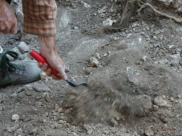 Descoperire importanta in Timisoara. Zidul cetatii din sec. XVI, scos la lumina dupa lucrari de reamenajare in Piata Unirii