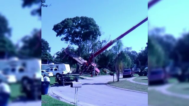 O macara adusa sa indeparteze un copac doborat de furtuna s-a prabusit peste o casa si cateva masini, in Florida. VIDEO