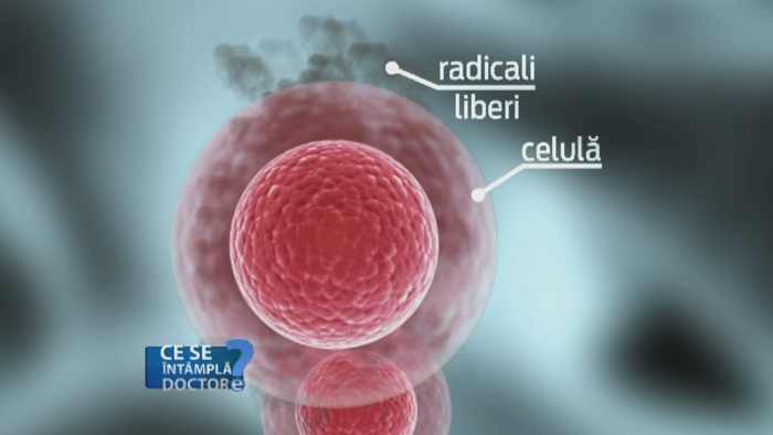 Beneficiile unui consum zilnic de fructe si legume proaspete. Ce sunt radicalii liberi si cum sunt combatuti