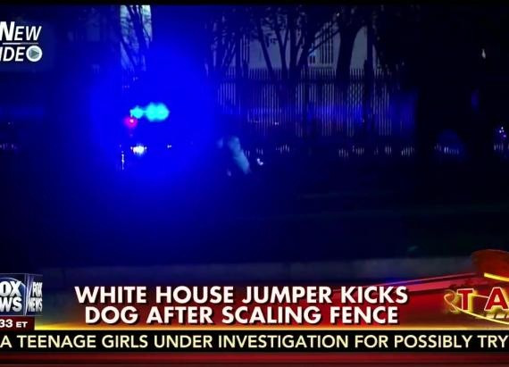 Un nou incident la Casa Alba. Un barbat a fost arestat dupa ce a escaladat gardul si a ranit doi caini. VIDEO