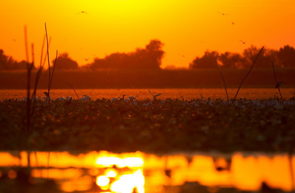 Romania a intrat in Top 10 al celor mai atractive destinatii de vacanta pentru 2015, la nivel mondial