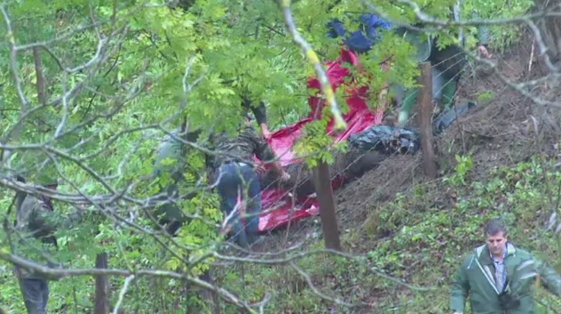 Urs de 300 de kilograme, blocat in gardul unei scoli din Dambovita. De ce au trecut 8 ore pana cand a fost tranchilizat