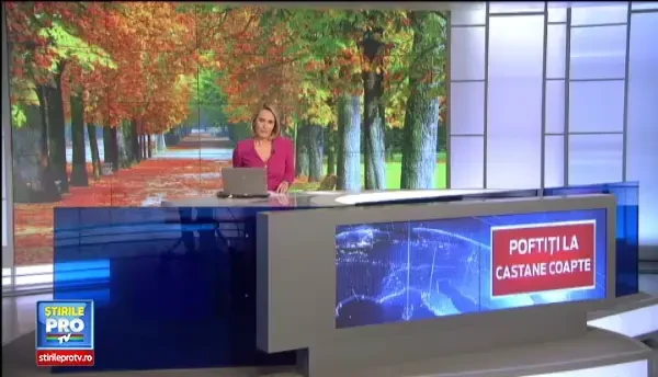 Castanele, in preferintele romanilor. Importurile cresc de la un an la altul, iar agricultorii pot obtine venituri record