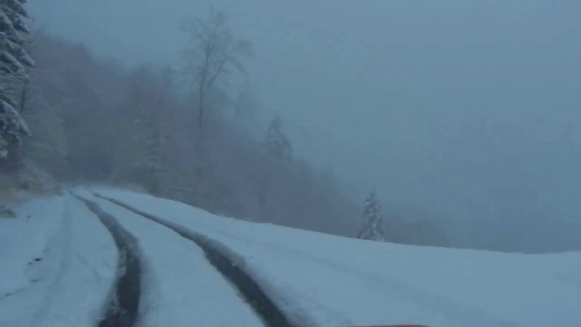 Imaginile dezastrului din cea mai urata zi de toamna a lui 2014: cod rosu de inundatii in Vest, copaci smulsi in toata tara