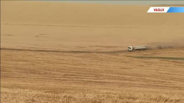 exploatatie agricola Vaslui