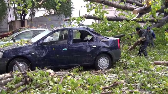Din cauza vantului, un plop urias a distrus doua masini in Galati. Soferii vor sa dea primaria in judecata