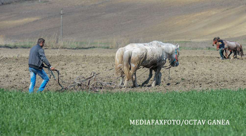 Noi vrem pamant muncit! In tara poreclita „granarul Europei”, 93% dintre agricultori abia pot trai din ce cultiva