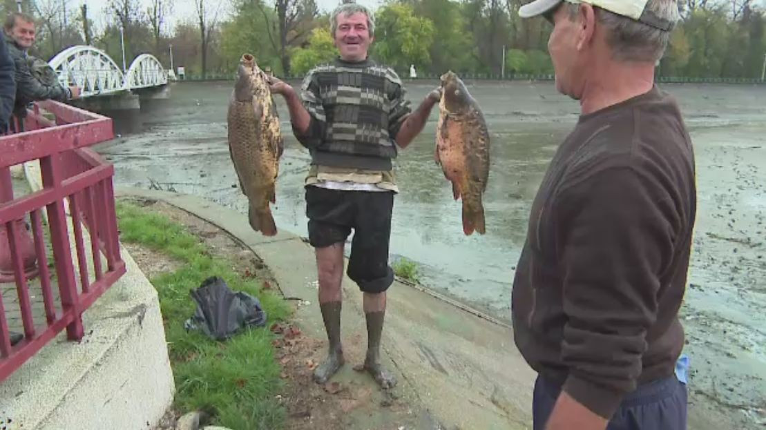 Barajele de pe Jiu au fost secate pentru a preveni eventuale viituri din munti. Cati pesti au strans din mâl pescarii amatori