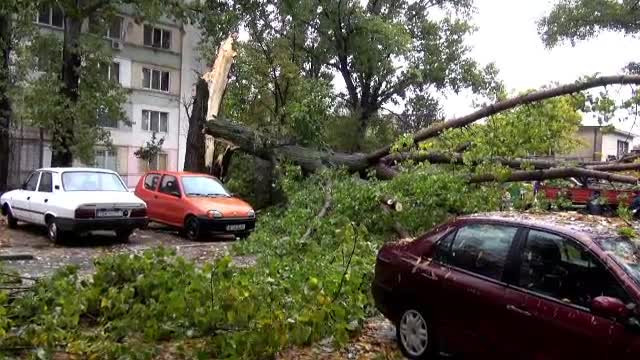 Copaci rupţi de vânt și aproximativ 5.600 gospodării bistrițene fără electricitate