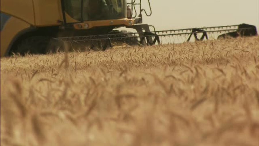 tractor, grau