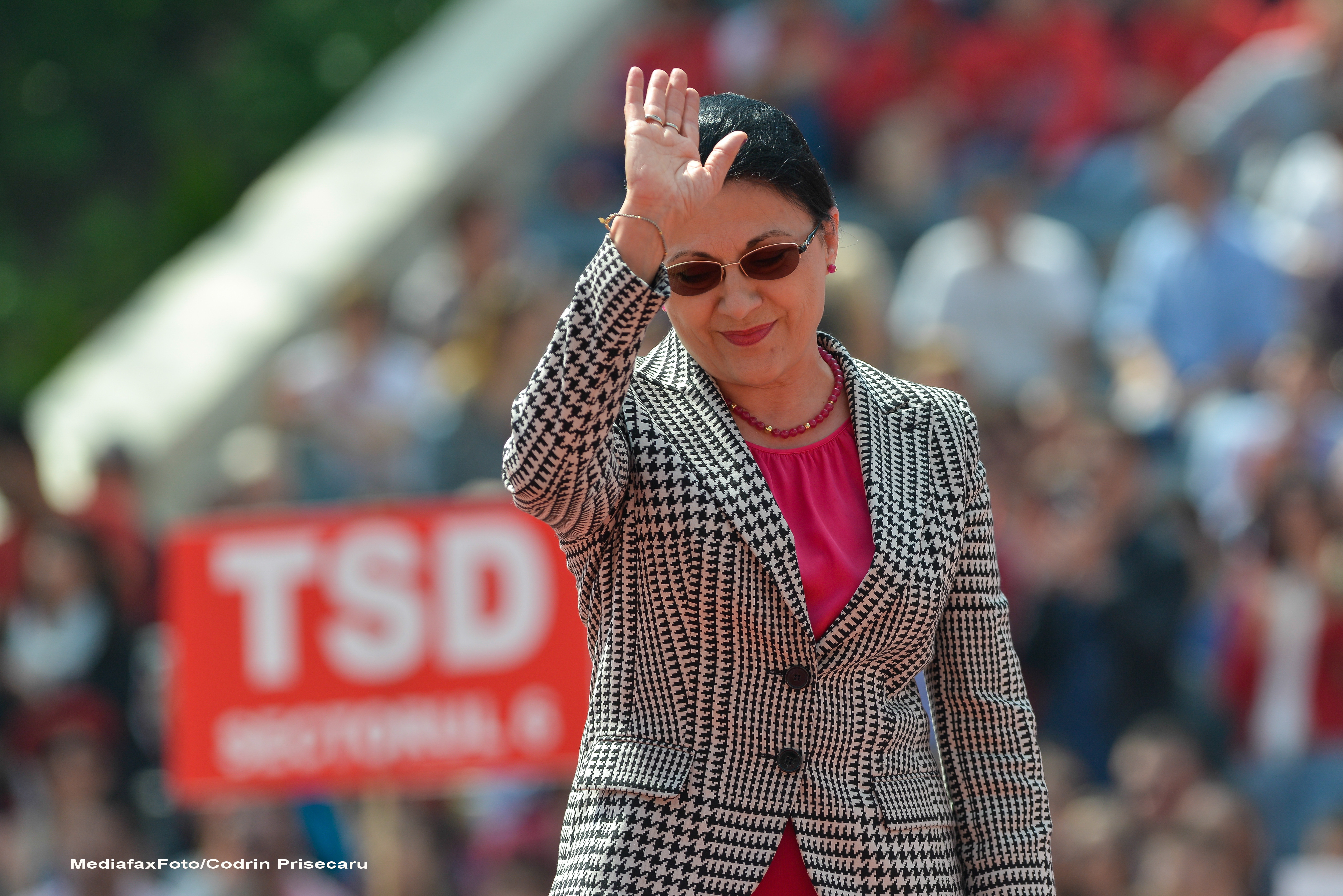 Ecaterina Andronescu si Serban Mihailescu rasufla linistititi, deocamdata. Votul Comisiei juridice privind imunitatea, AMANAT