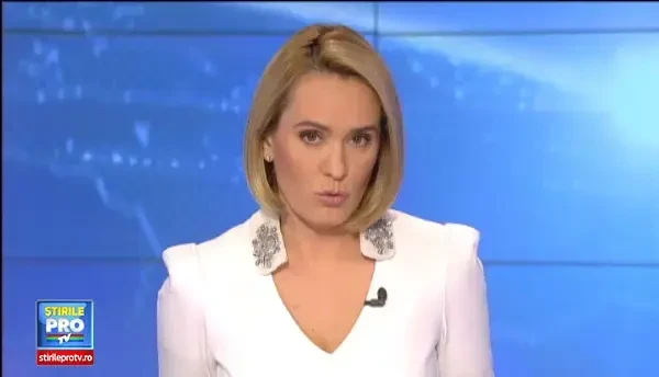 DOSARUL MICROSOFT. Cu cat s-ar cumpara o HG, conform martorului-cheie. Pinalti, Cocos, Niro si Sandu asteapta decizia ICCJ