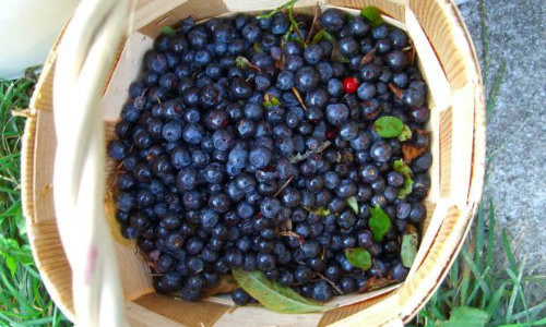 Micul dejun ideal pentru arderea grasimilor