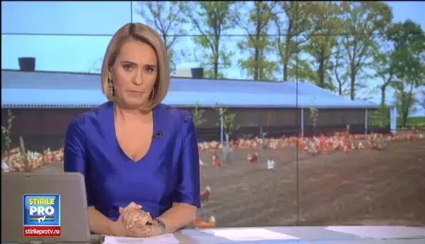 Puiul galben sau cel rosu au ajuns in bucatariile romanilor. Care este explicatia pentru culoarea sa neobisnuita