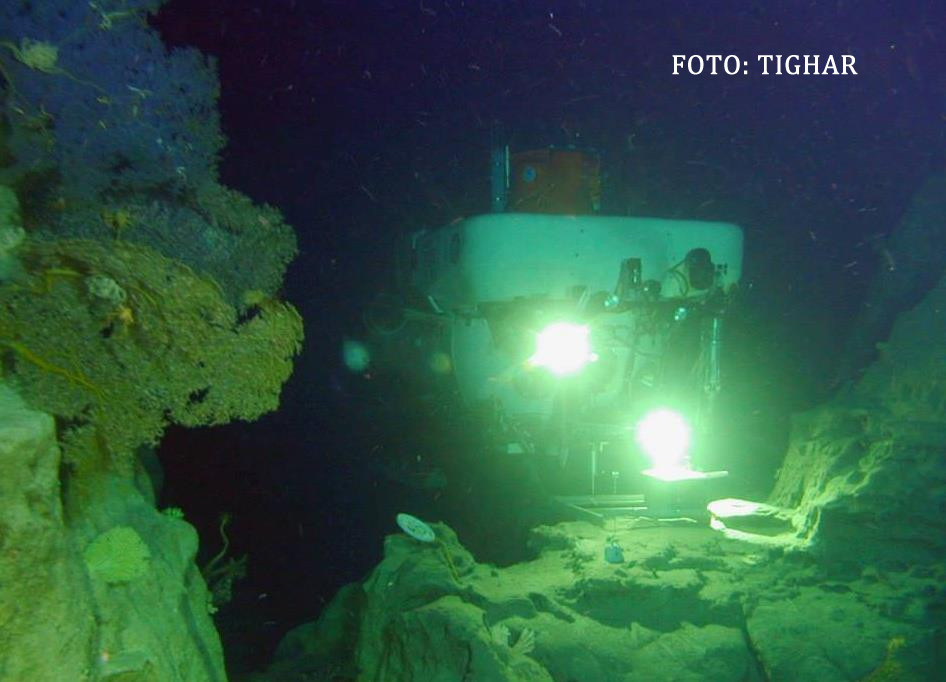 cauta avion AMeliei Earhartt