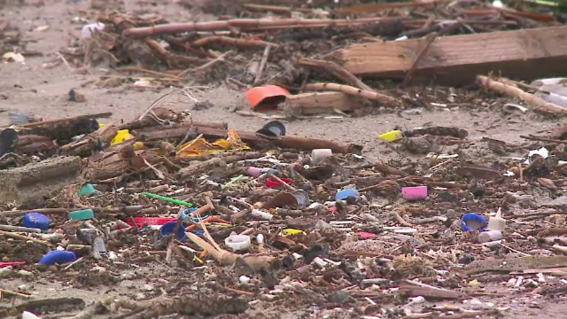 60.000 de tone de gunoaie, stranse din Marea Neagra. Deseurile au provocat moartea a numeroase specii de pesti