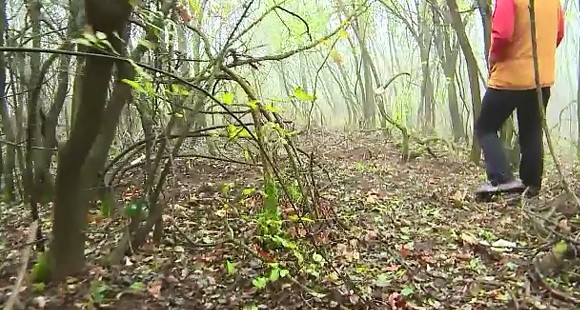 La 18 ani de la disparitia unei batrane din Gorj, politistii sunt pe cale sa elucideze misterul. Ce au gasit in padure