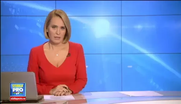 Cateii salvati din incendiul provocat la un adapost de animale, ingrijiti de salvatori. Imaginile va pot afecta emotional