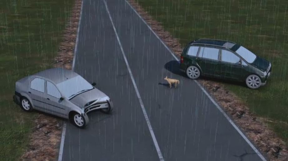ANIMATIE GRAFICA. Soferul care a ucis un tanar de 21 de ani incercand sa evite un caine. Trei accidente similare in doua luni