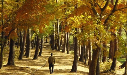 De ce nu esti sincer cu tine?