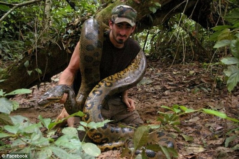 Experiment Discovery. Momentul in care biologul Paul Rosolie este mancat de viu de o anaconda gigant. VIDEO
