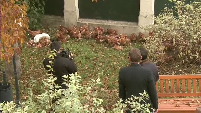 Gaini la sediul ACL din Bucuresti