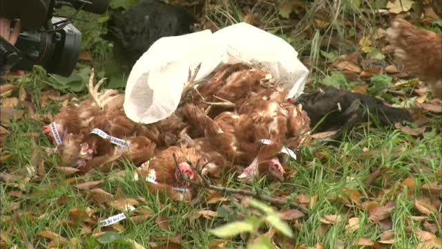 Gaini la sediul ACL din Bucuresti