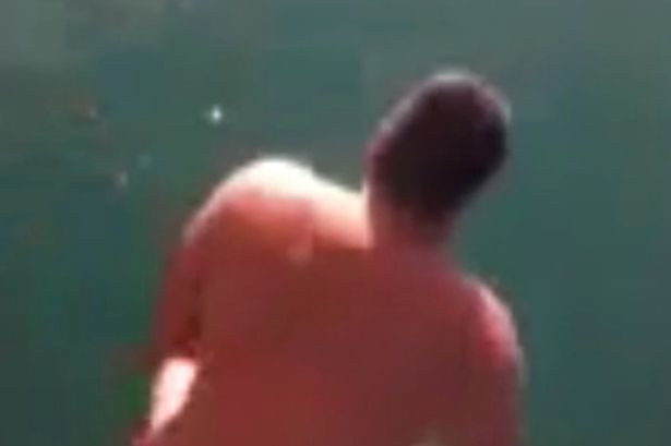 Provocat de prieteni, un barbat a sarit pe spatele unui rechin. Ce s-a intamplat dupa. VIDEO