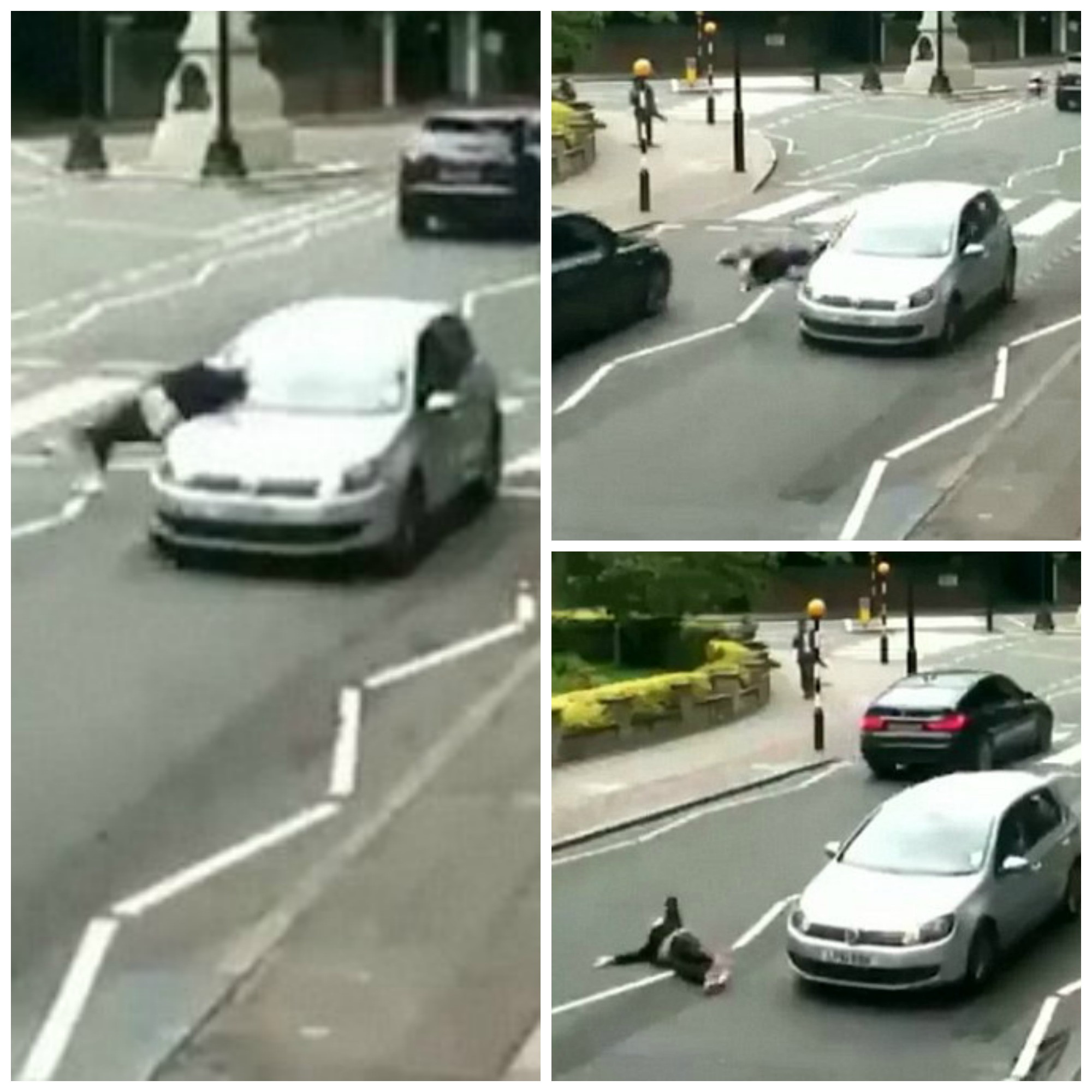 Momentul in care o femeie este lovita de o masina pe "zebra" si proiectata pe asfalt surprins de camere. VIDEO